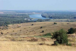 Тваринний та овочевий світ лісостепу - характерний, список, назви та фотографії Тваринний та овочевий світ лісостепу - характерний, список, назви та фотографії
